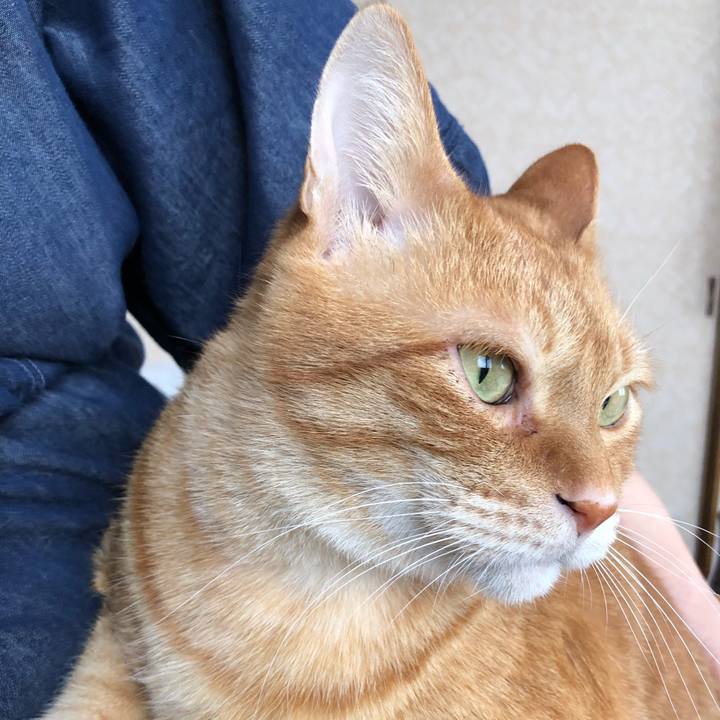 69d7ab5e ee2c 4182 ab8a 6efc76ff0384 1640926398502