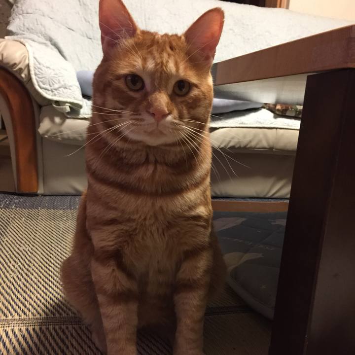 69d7ab7a 1ec2 4d8d a4e3 a83b876621bc 1537348410992