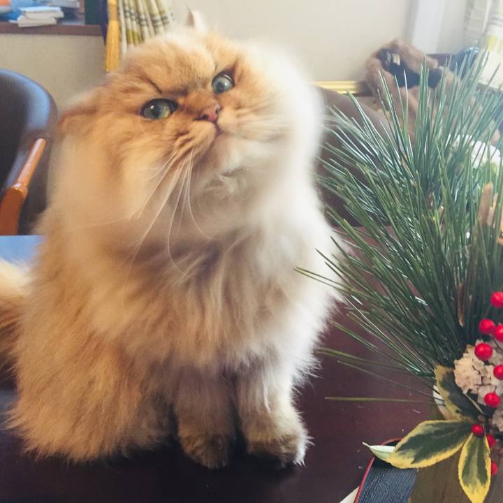 69d7b974 75ab 4417 908b e1bd5c419176 1546824237043