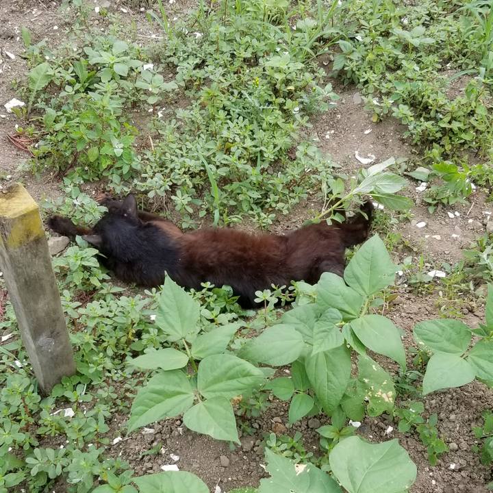 69d7bcc8 c6e2 421f 8e8c 3128b7adb9fb 1690908060437