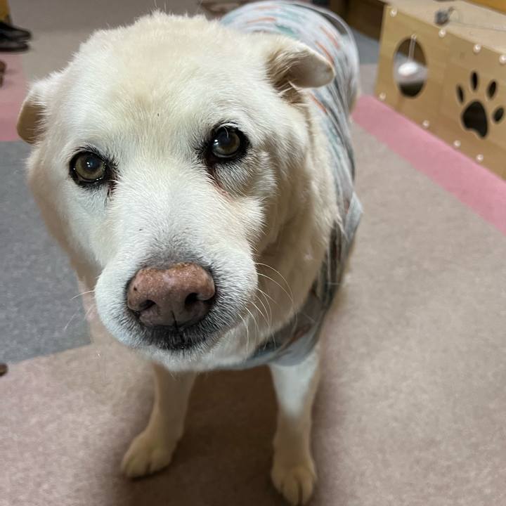 69d82318 1e50 4433 8748 1b50474d4096 1766359304573