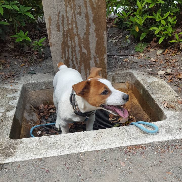 69d84e5d dadb 4f55 9ba5 c1934a1f5c1d 1555931878597