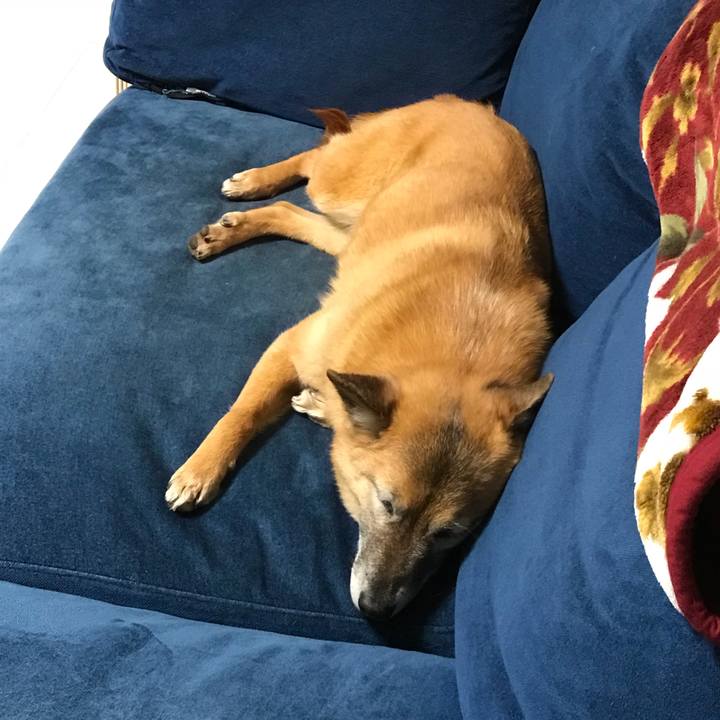 69d89e3b aef9 4877 b899 8d52ae1444c8 1524307312199