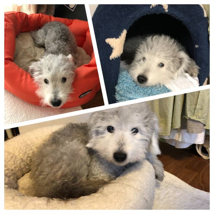 69d8b3df a2b2 4f41 b022 7c2bcbc4cf46 1595635439254