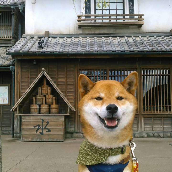 69d8c288 5710 4746 bc7d 72386be37938 1523773668905