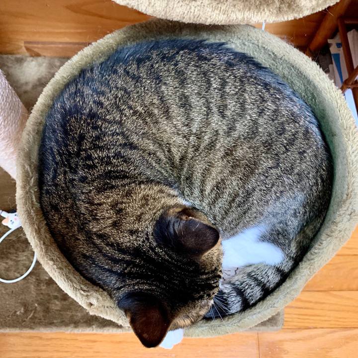 69d8f17d 5161 434b b384 214b5dfa82ee 1570362618223