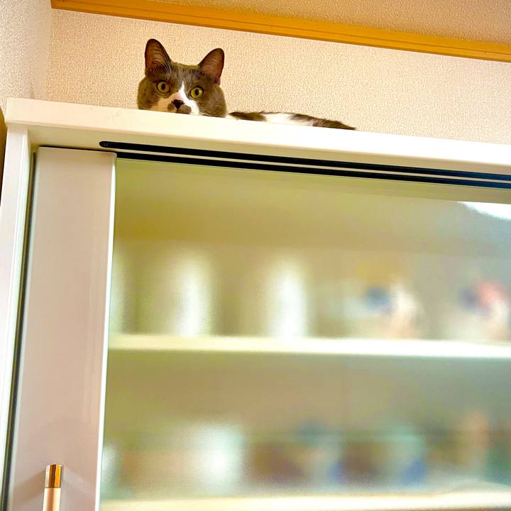 69d90ee0 cf83 412e 806a 6fd40606d724 1626175705849