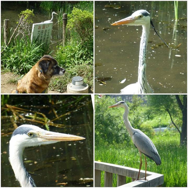 69d917bf cdd9 4685 bf7b c0c5de8d362a 1581902049210