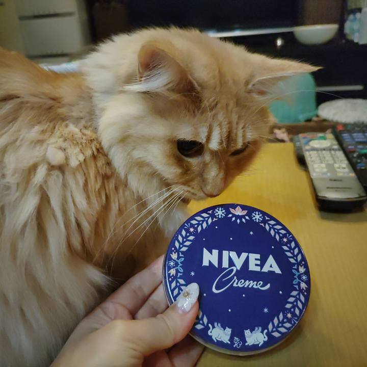 69d91d8a 9460 44d3 957b 032e9d5a4d5d 1669625487368