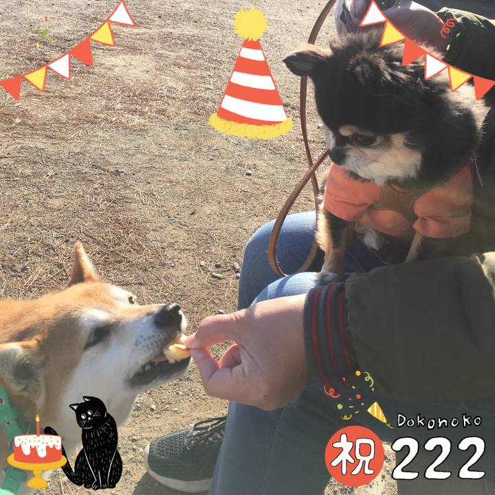 69d94679 1616 4a67 a5f5 1a56443f1cee 1645516654705