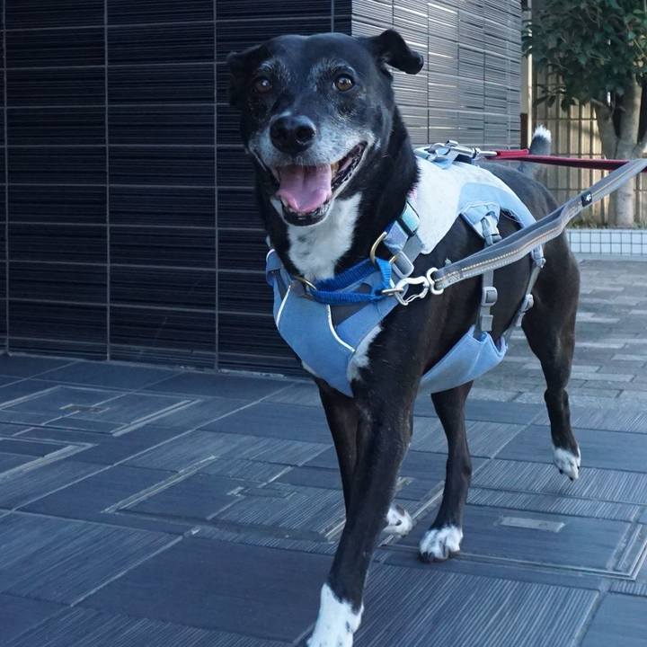 69d98b47 d4f5 4abe 8bd4 3c625cf73eca 1756513640912