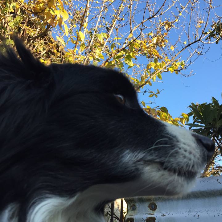 69d9a93e 9c6b 477e bb25 a84420720144 1577493457600