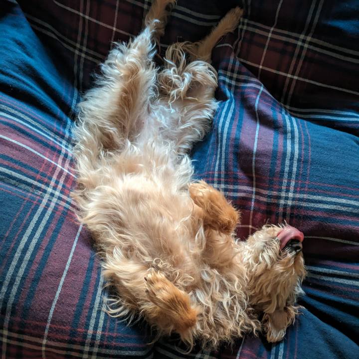 69d9b589 6910 4685 b56b 9b40d905e8c3 1714603039718