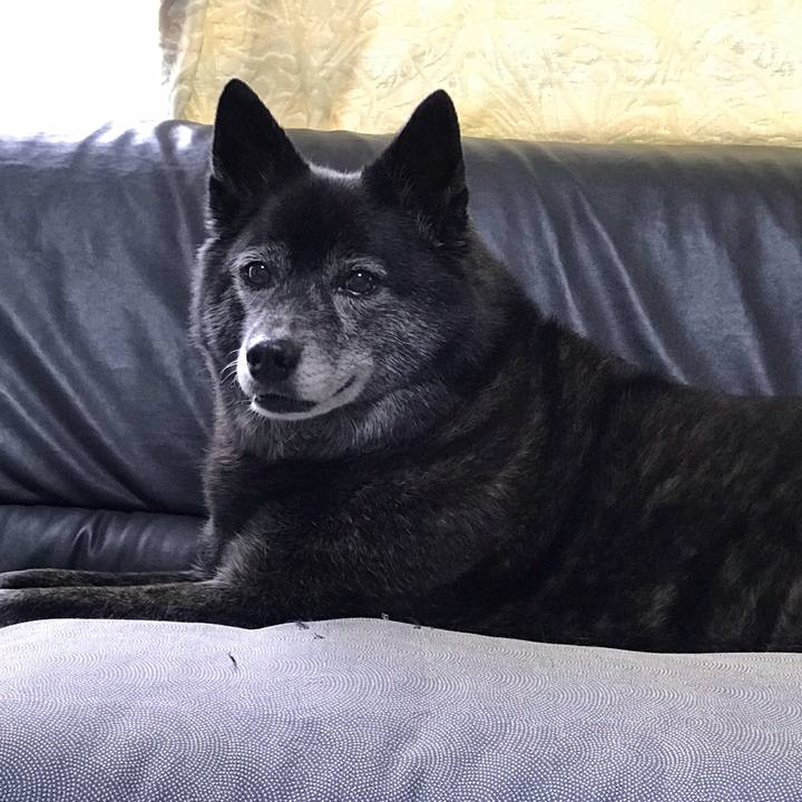 69d9c679 36ef 473a b3a0 e8c5e94668b6 1565832480076