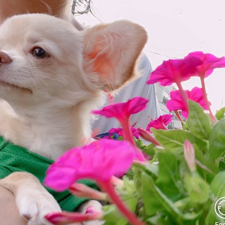 69d9e6e4 0160 4d4b af2d 3556372abdec 1599466977855