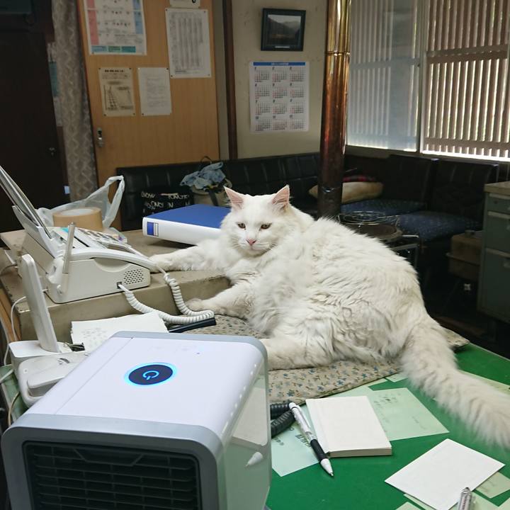 69d9f9ea 1b84 4d9e 9b65 2138c05bcbe0 1532580774559