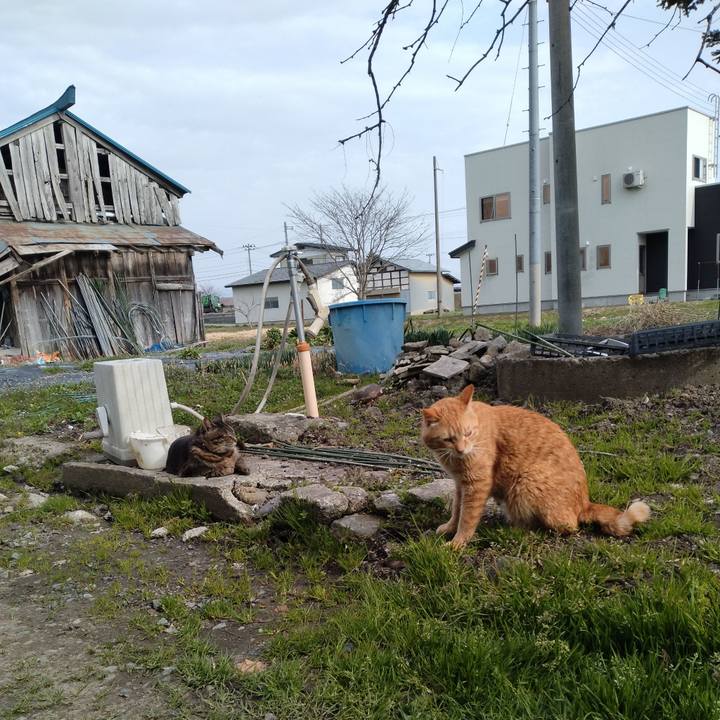 69da252f c13e 41b4 a9b1 3109f6f0c5e7 1744956924941