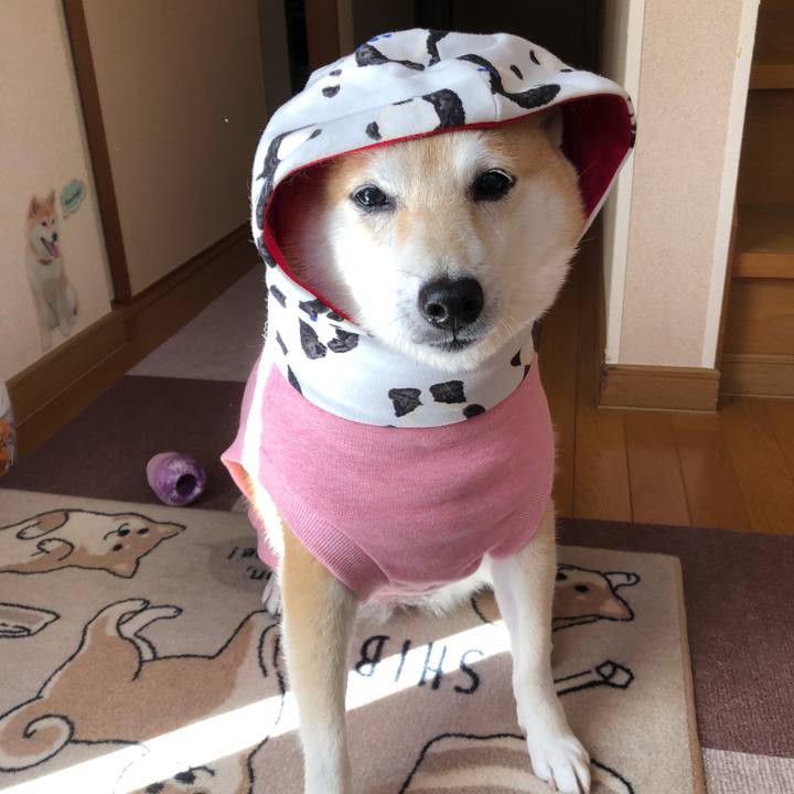 69da3b54 94fd 4bff ac9c 32585f60241f 1605146110613