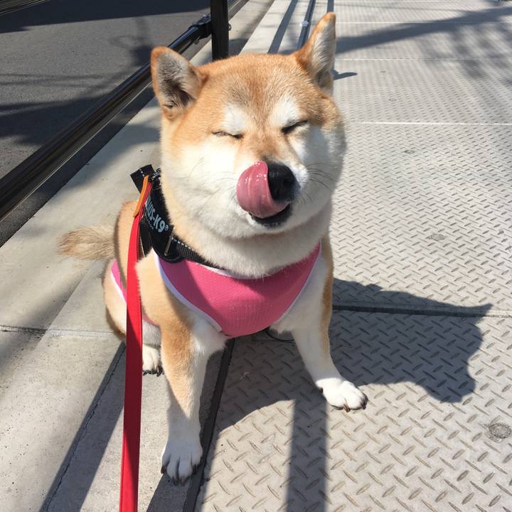 69da4f53 4e23 4232 83e8 86ccf7a573b3 1588121188954