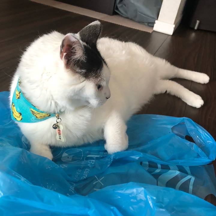 69daa53e afc5 4110 8420 e70a8383b874 1532142325693