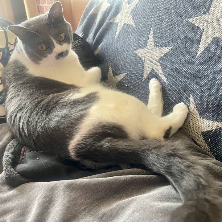 69dad9bf 220f 4bd9 ac55 51790feb5ad0 1649725660901