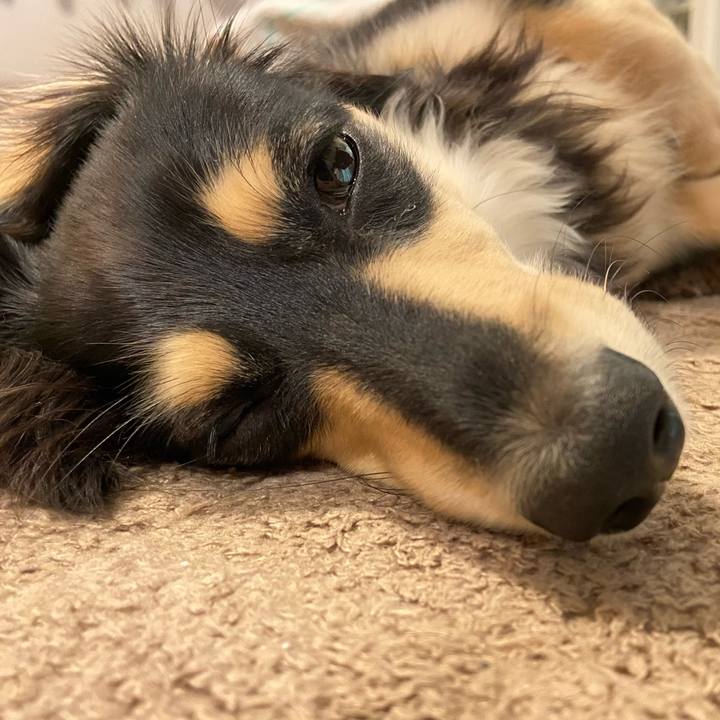 69db16eb e1be 49d5 8ee7 6ce5257a79e6 1690869219596