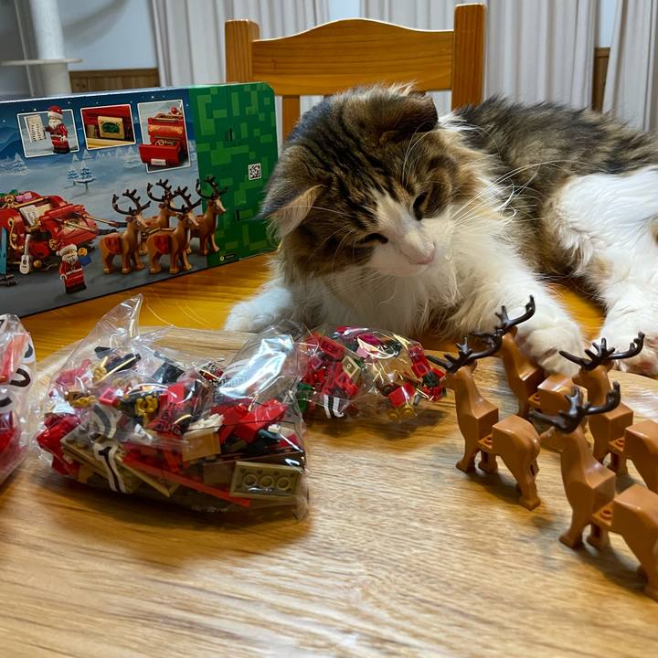 69db1f87 bf09 4304 90cf 5c00c76c4d4a 1670498811758