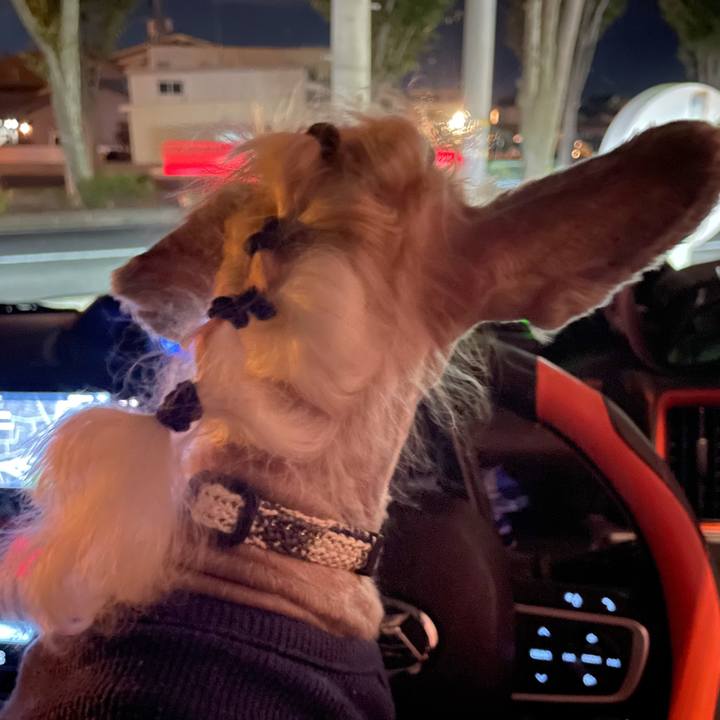 69db2c75 1c37 49d9 8885 e495ed3faeed 1760613969184