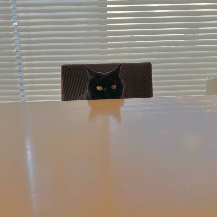 69db727c e0c7 47ac 9ee6 06b4176bae75 1698273786964