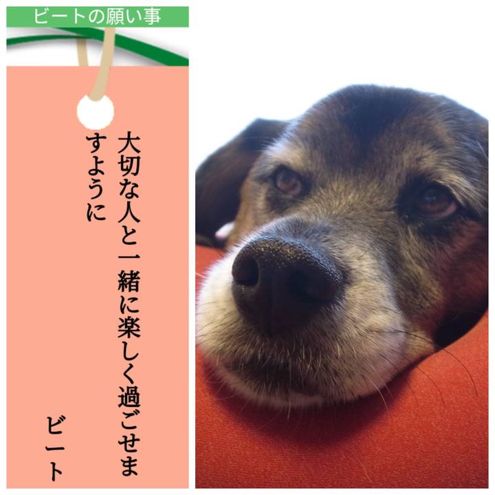 69db7c77 8852 4cff 9e19 d2a18fa28498 1657104592695