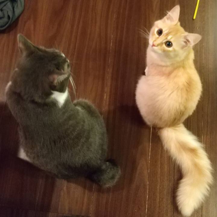 69db81f4 72a3 41e4 9581 0756e0ff2ff5 1613339784763