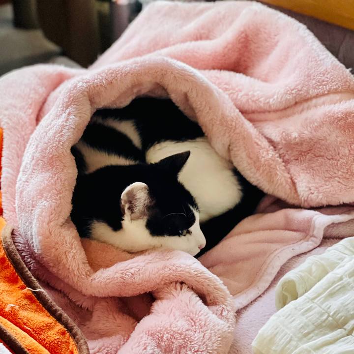 69dbb03d e589 4b99 ac9f d1398795e87f 1609899657773