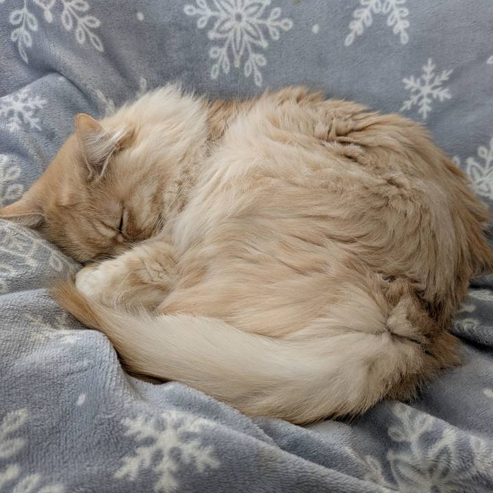 69dbb374 6ef4 4f67 8c22 beca749822a7 1741773410968