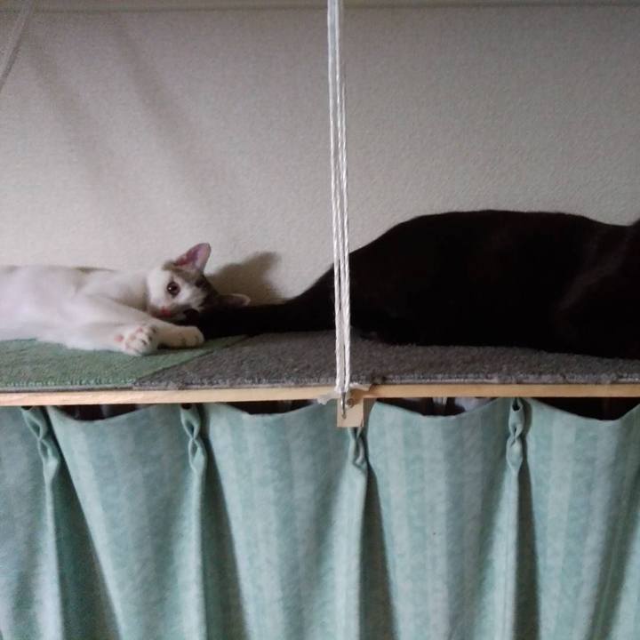 69dc2f42 0ee8 4b7a a6db c242138266d0 1636968341561