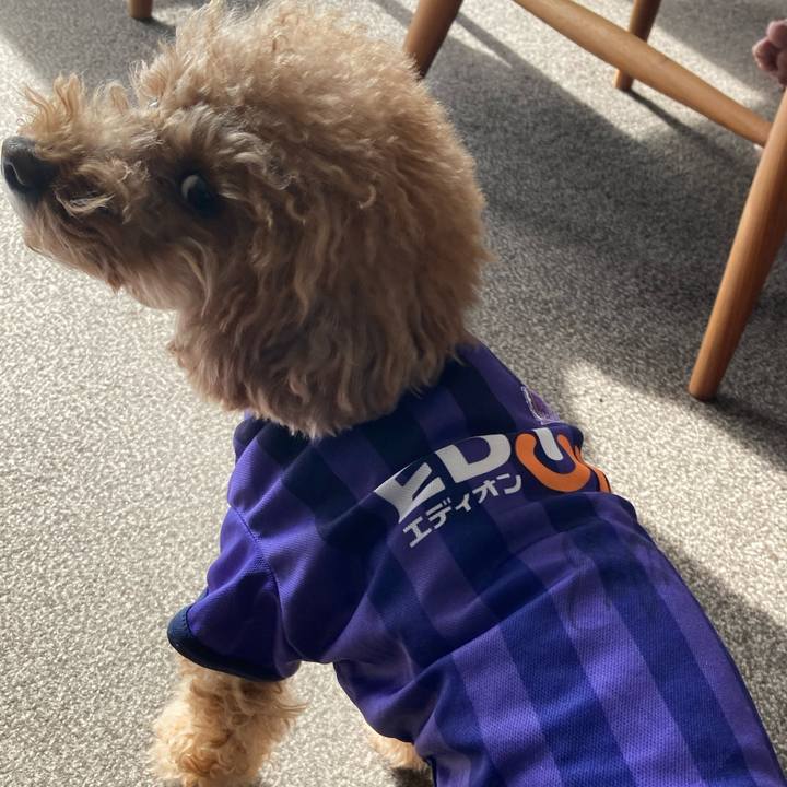 69dc4262 4223 4cf0 9e1c 22c556dc9a29 1669265270534