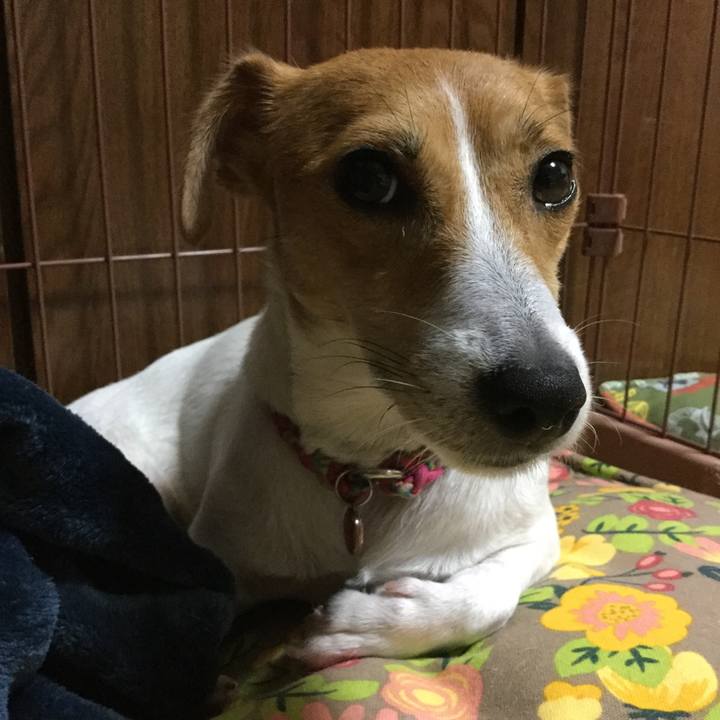 69dc4429 80eb 4047 af02 b5abe69eaa77 1539340933278