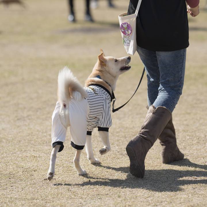 69dc503d 6e06 4107 9e21 c488f19fbb2e 1542557501739