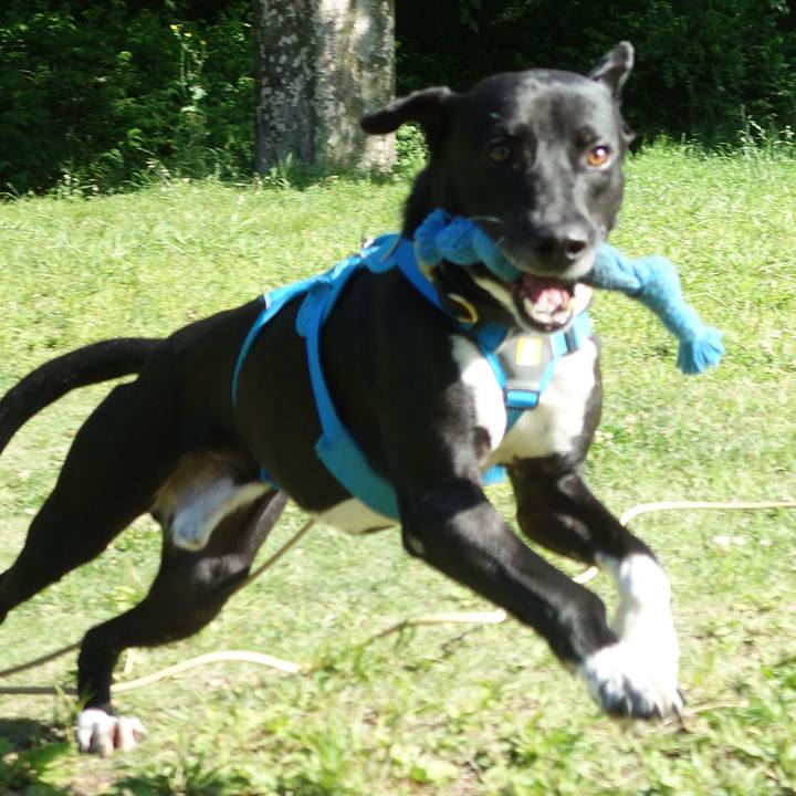 69dc6eea 2383 473a a40b 94659171898e 1620000720369