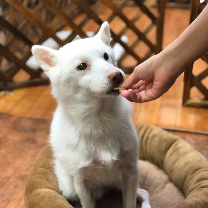 69dd1f56 9c2a 4c8b a38e a39e6a77f42e 1576501460511