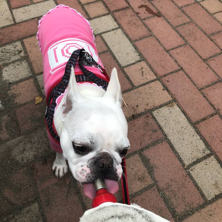 69dd7dc0 bb10 4120 8a91 3bbfc5a6a562 1539415460456