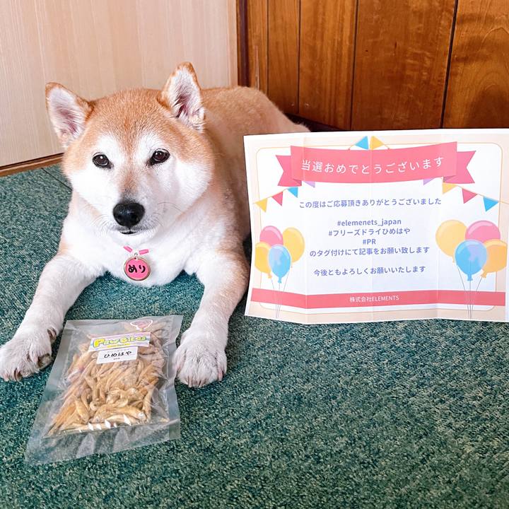 69dd832e b014 4f60 b4b1 9847223cce27 1716619618914