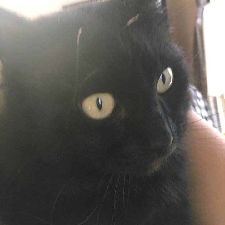 69dd8e3d 973c 49cf a071 1be23f7144d6 1529917871419