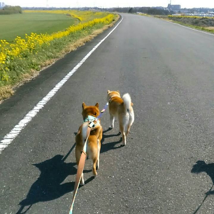 69ddba73 11fa 47e0 95e9 f761e6ed9e61 1554371139812