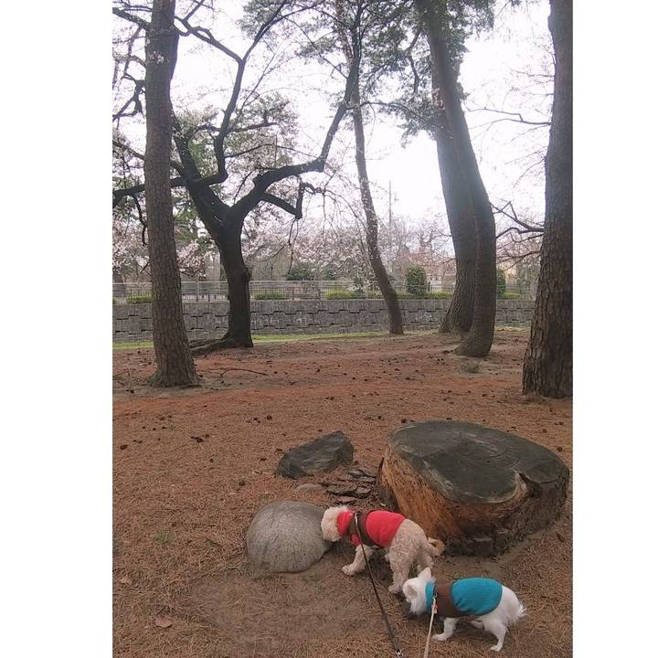 69ddeb37 4cce 4ad5 bd9b 83c8fab13fad 1679052931830