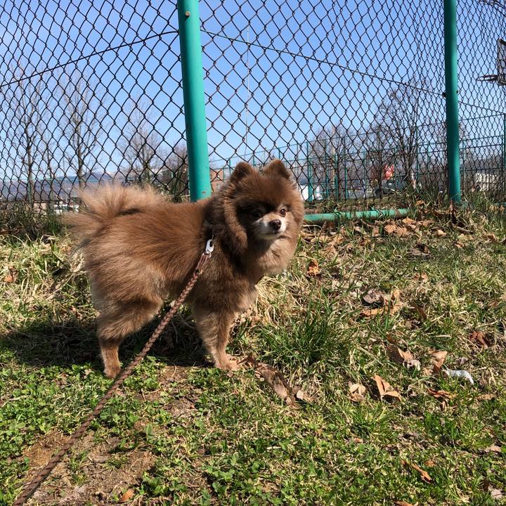 69ddf8eb 2952 4643 85cc d978db983411 1617330490282