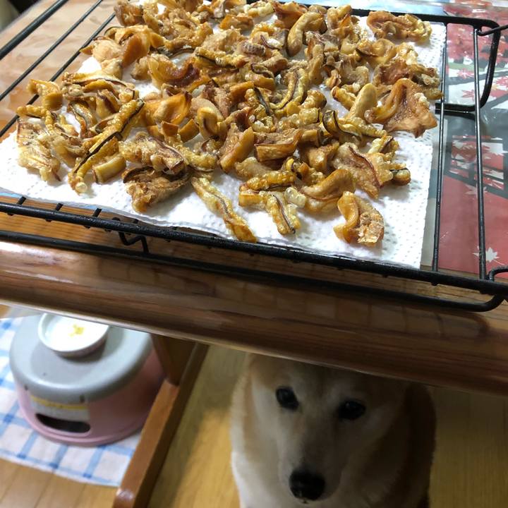 69de0c8b b48e 488d 8c90 a4d6a6468632 1607690623296