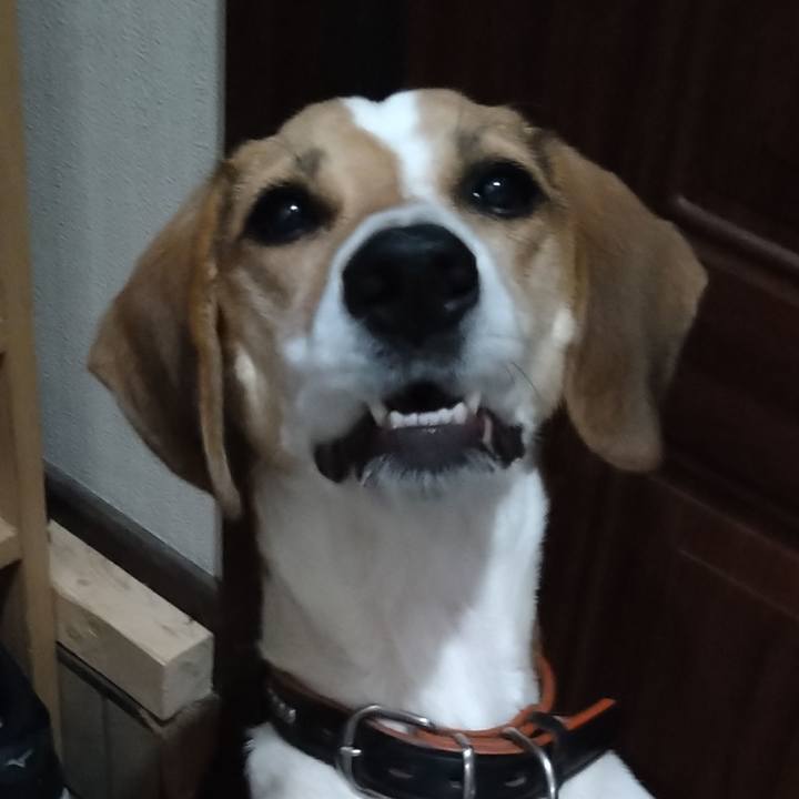 69de61d1 1270 4987 949d 2b8aed105bbf 1635612387600