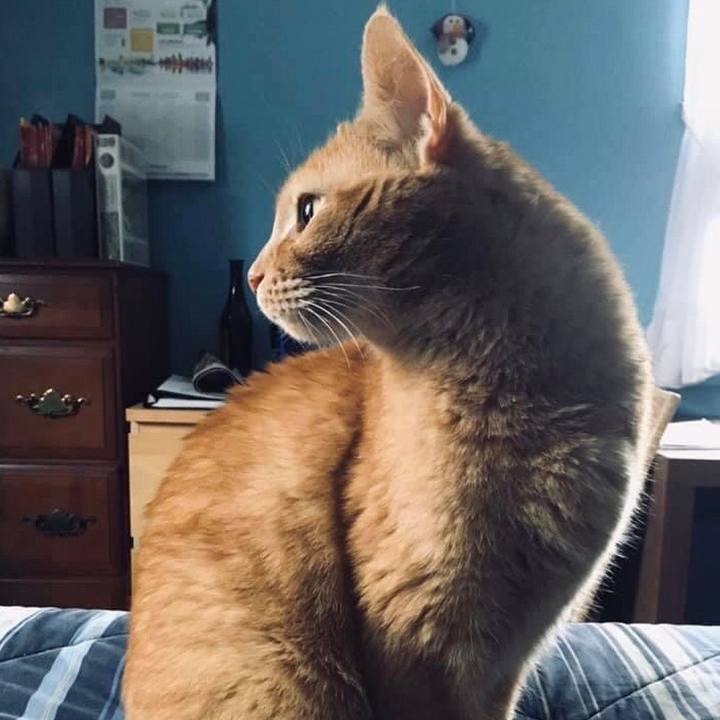 69de7726 d4a7 43a5 adc7 4d85bad1838f 1619023124816