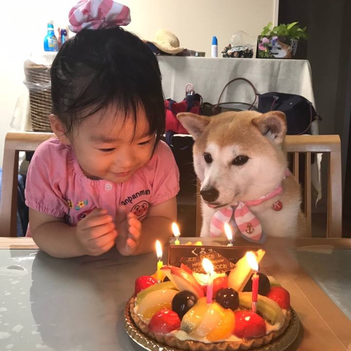 69deb8fc d7da 45be a08b 11f73875e7aa 1591911832134