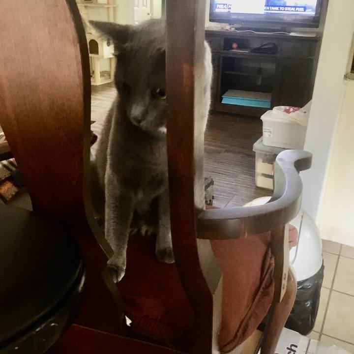 69deca60 6176 46f5 9947 8c804d6ded36 1661817297777